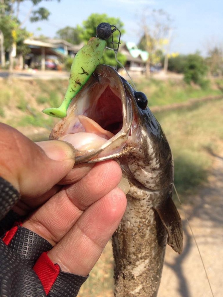 นำ้เเค่คืบ