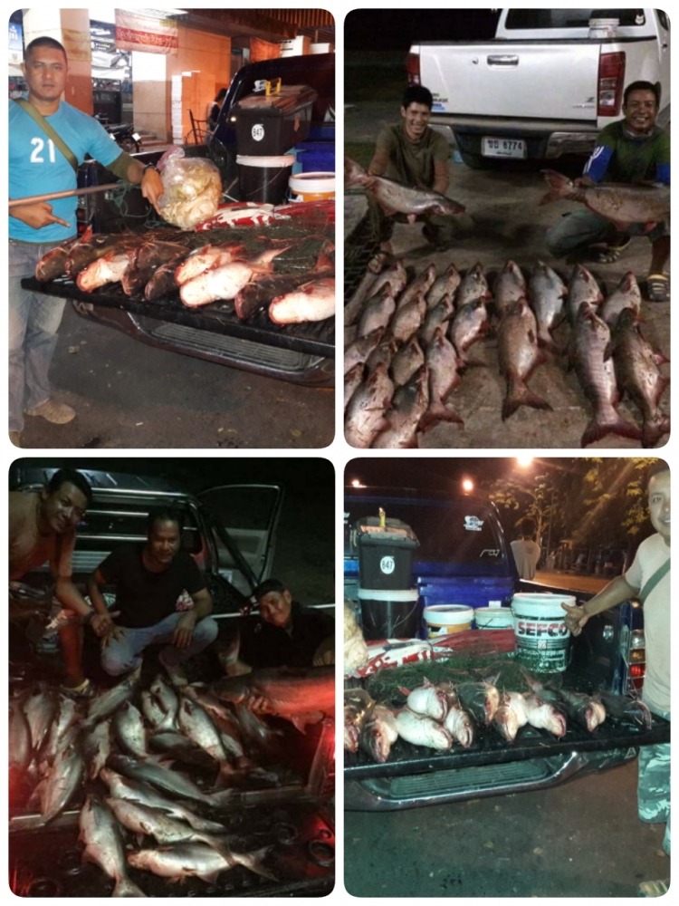 หมายธรรมชาติ64
