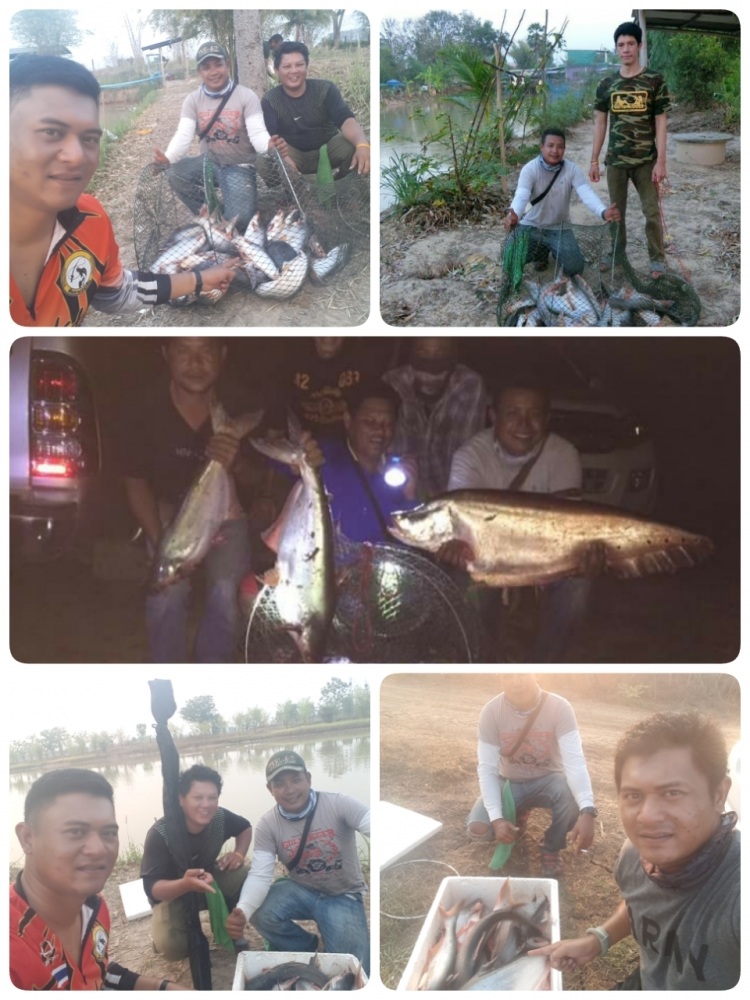 หมายธรรมชาติ64