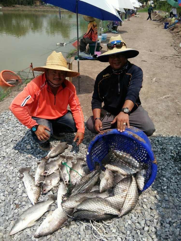 กะพงบุฟเฟ่ร์ K.B. fishing ลงปลาแล้วนะคับ