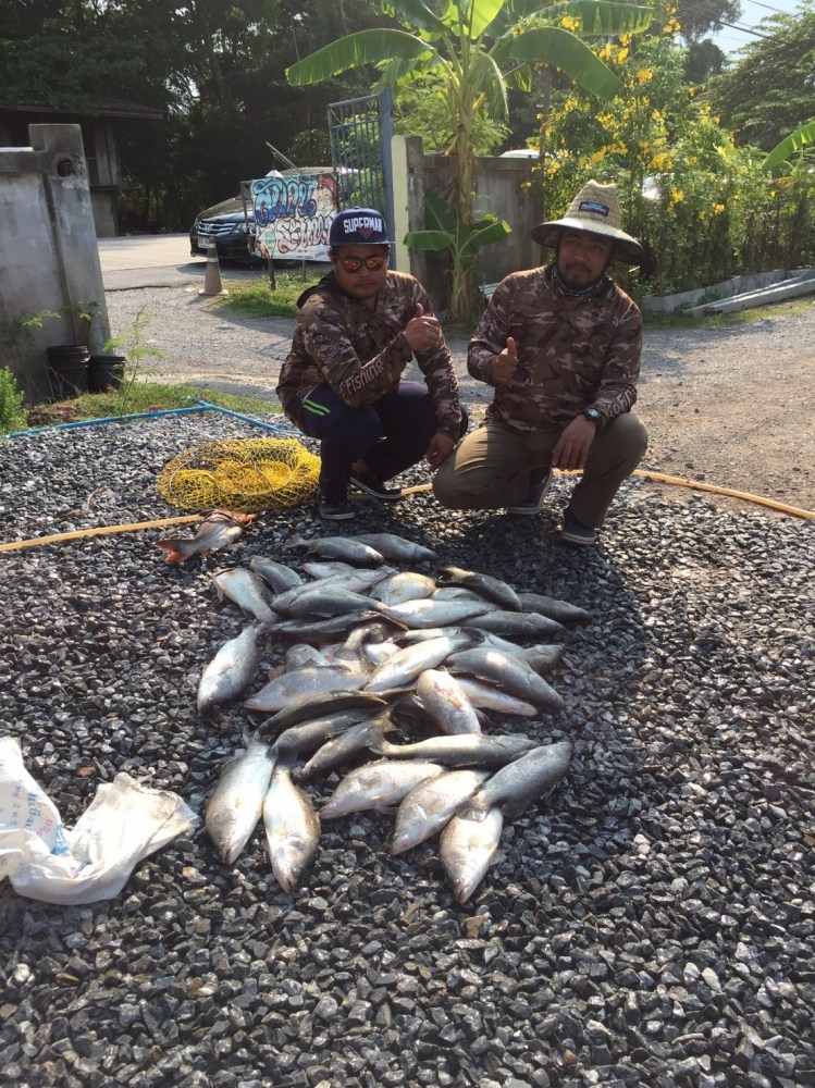 กะพงบุฟเฟ่ร์ K.B. fishing พรุ่งนี้เจอกัน