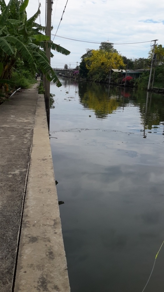 + คลองดำเนินบ้านแพ้ว +