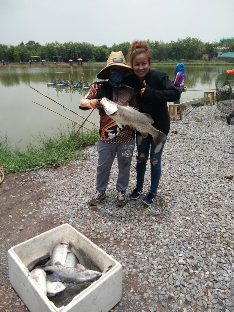 พรุ่งเก็บตก250฿กะพงบุฟเฟ่ร์ K.B. fishing 