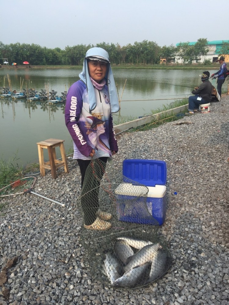 พรุ่งเก็บตก250฿กะพงบุฟเฟ่ร์ K.B. fishing 