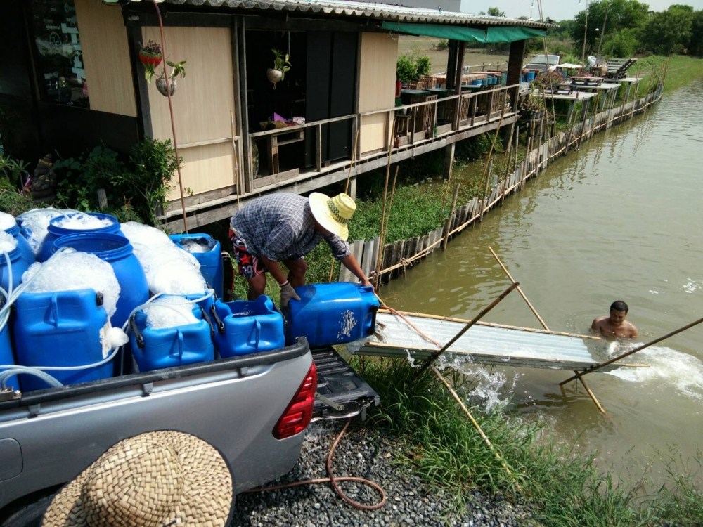 กะพงบุฟเฟ่ร์ K.B. fishing ลงปลาแล้วนะคับ