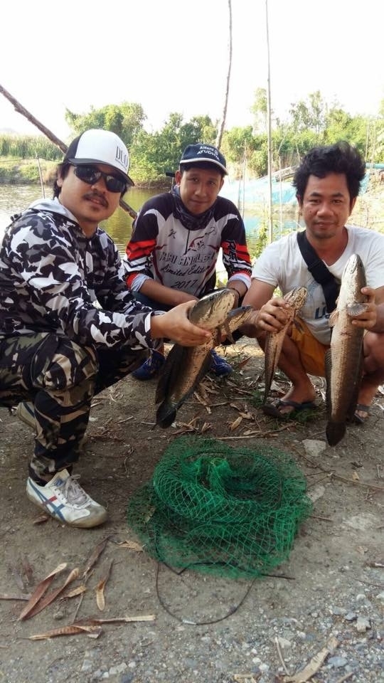 ทริพช่อนใหญ่ บ่อปิด Special 30 เมษายน 2560