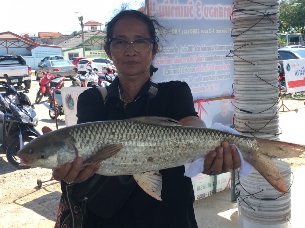 บึงปราการ ปลาเกล็ด 1,999 บาท ลุ้น หัว 100,000 หาง 2,000 รวม 100 รางวัล..!!