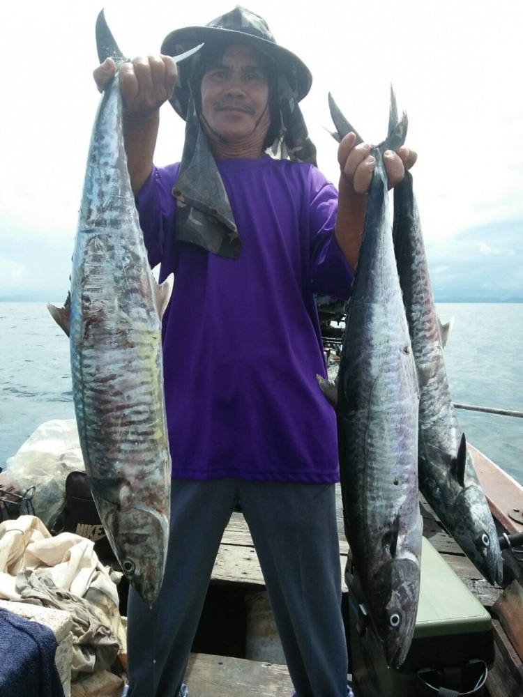 jigging class อินทรีย์ ภูเก็ต ไต๋โรจร์ 11/05/60