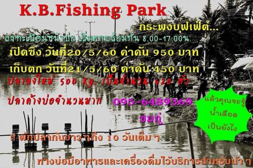 กะพงบุฟเฟ่ร์ K.B. fishing เปิดเสาร์นี้ 20/05/60