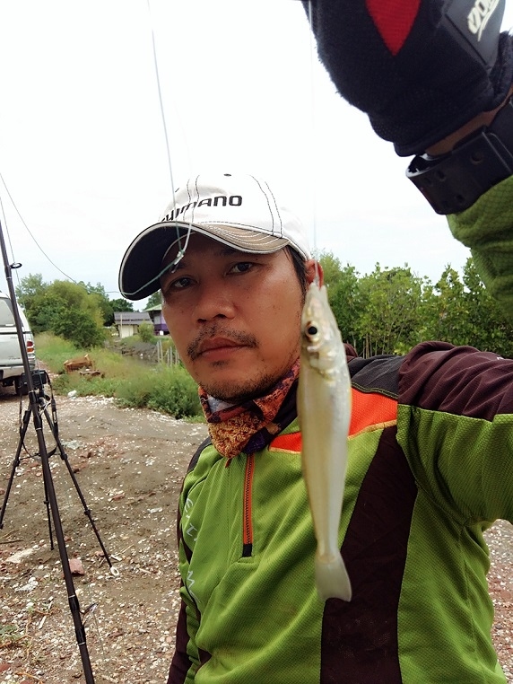 เห็ดโคนน้อย