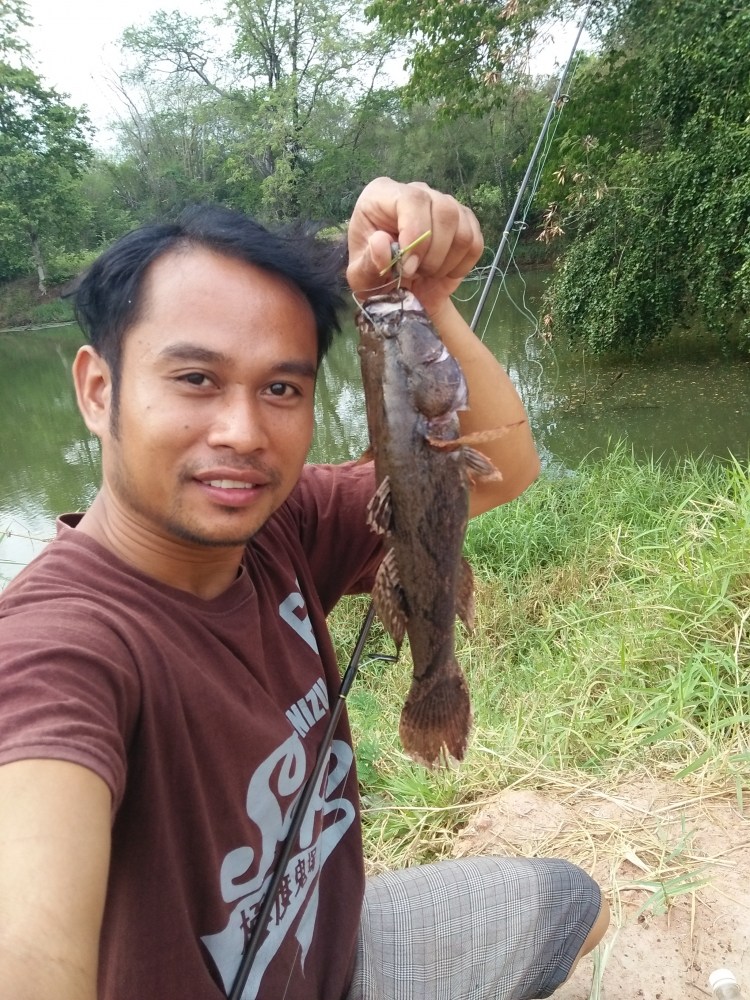  ปลาบู่หุ๊บเหยื่อยางเทคนิคง่ายลองใช้ดู