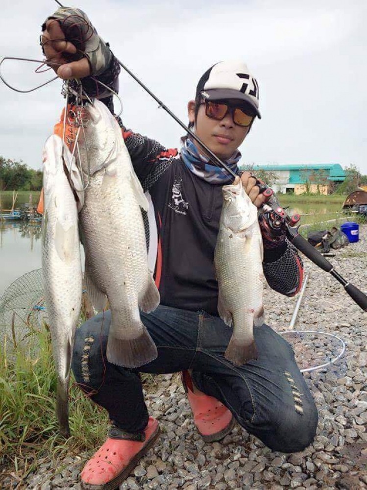 กะพงบุฟเฟ่ร์ K.B. fishing ลงปลาแล้วนะคับ