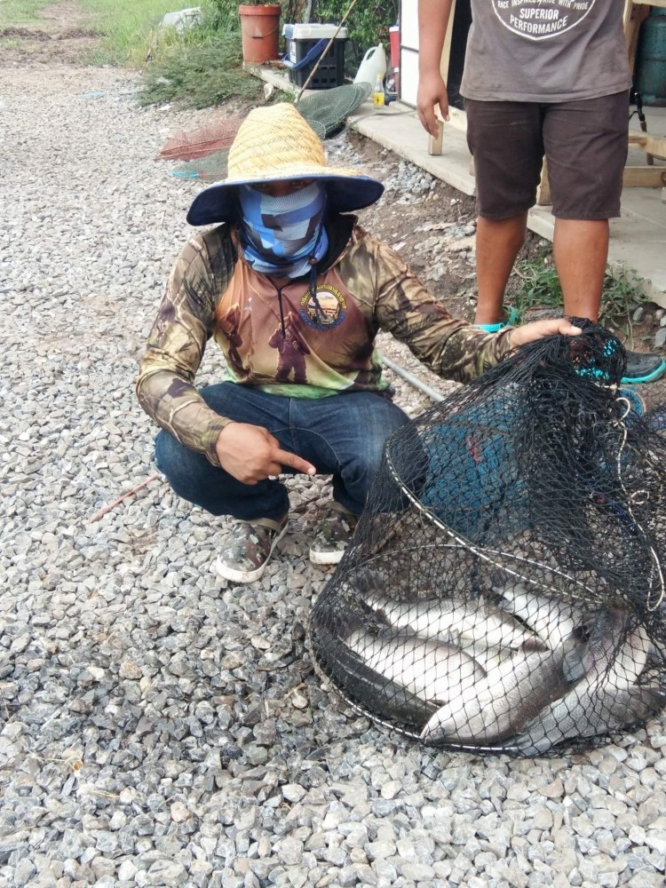 กะพงบุฟเฟ่ร์ K.B. fishing ลงปลาแล้วนะคับ