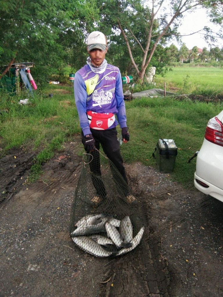 กะพงบุฟเฟ่ร์ K.B. fishing ลงปลาแล้วนะคับ