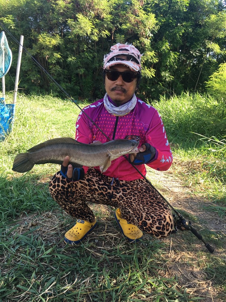 , , texas rig only , ,