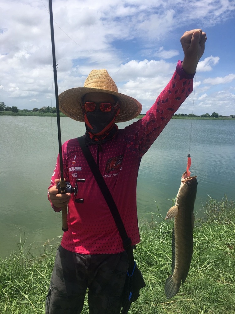 , , texas rig only , ,