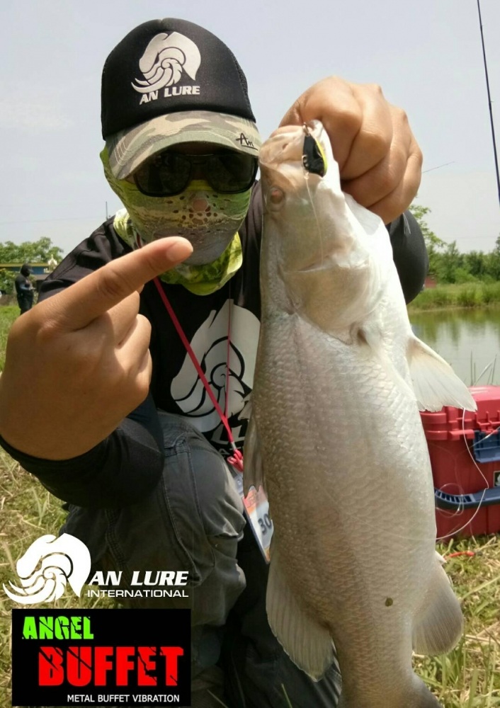 An Lure "Angel BUFFET" ฮือฮาทั้งบ่อ!!! เก็บตกกะพงบุฟเฟต์@บ่อสปิริตลำปาง