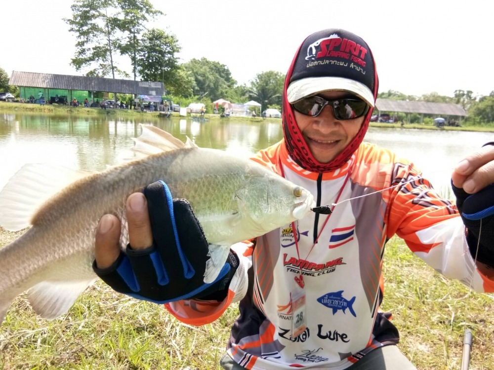 An Lure "Angel BUFFET" ฮือฮาทั้งบ่อ!!! เก็บตกกะพงบุฟเฟต์@บ่อสปิริตลำปาง