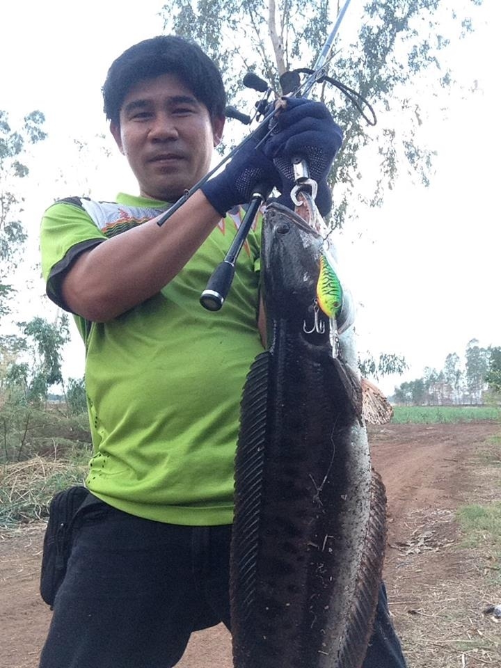 และแล้ววันหนึ่งเบ็ดผมก็หัก