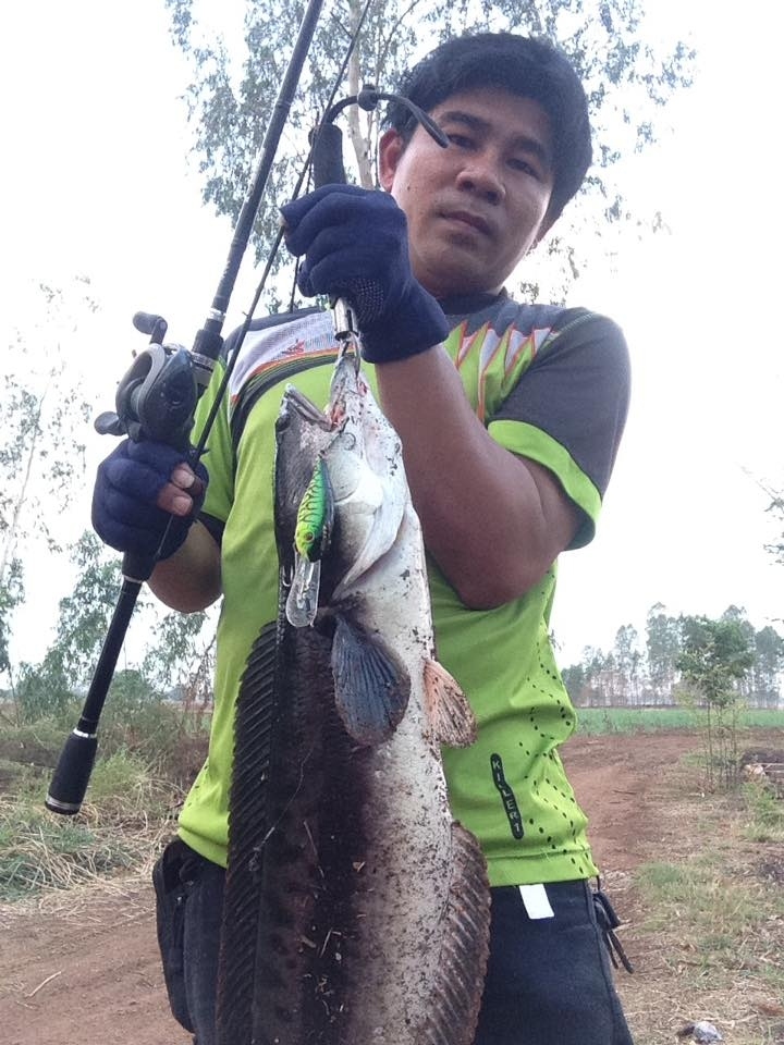 และแล้ววันหนึ่งเบ็ดผมก็หัก