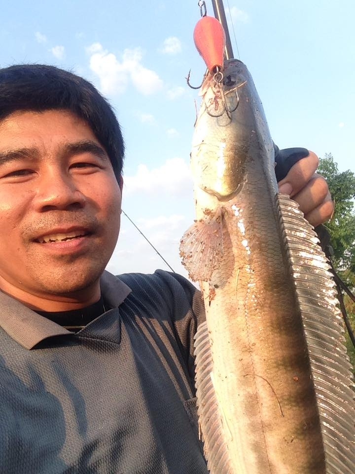 และแล้ววันหนึ่งเบ็ดผมก็หัก