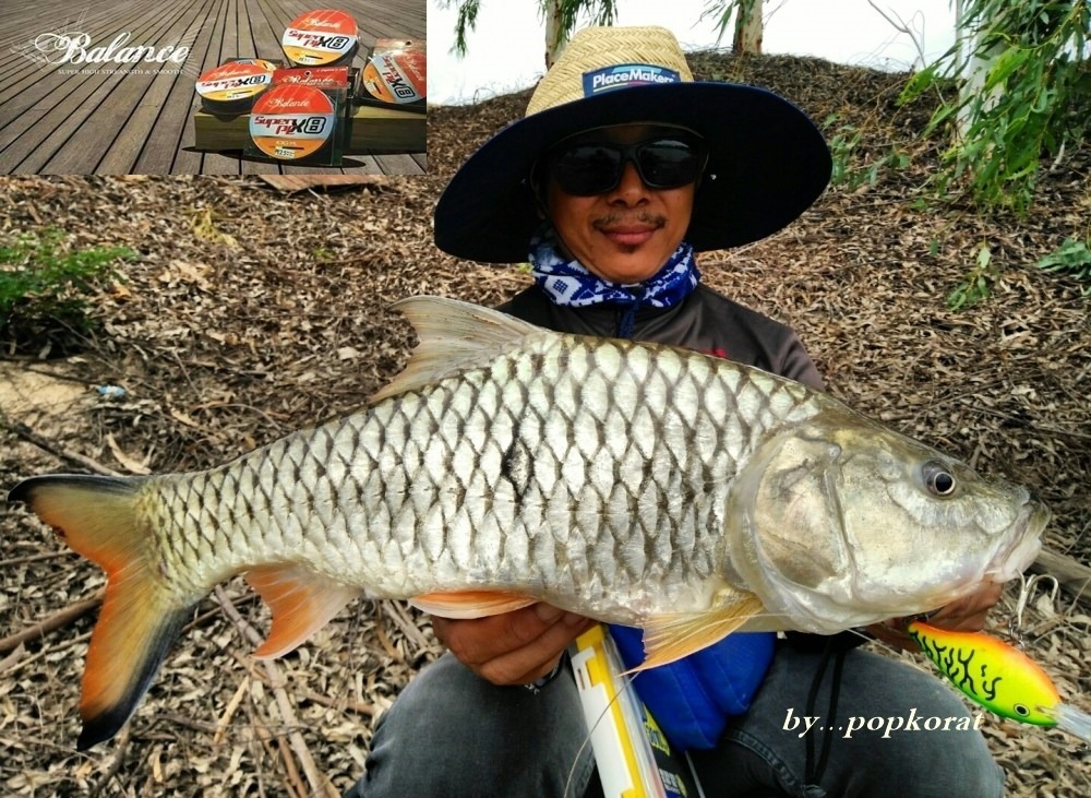 *** เ เ ม่ ค ร อ ก....ส า ย พั น ธุ ใ ห ม่ ***