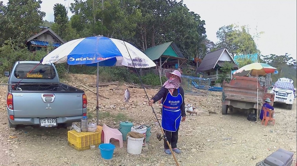 ปลานิลเขื่อนยางชุม กุยบุรี ประจวบฯ