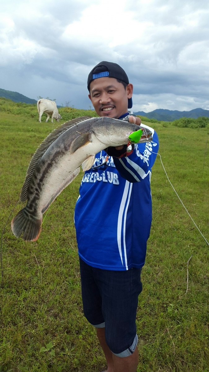 นานๆมาทีตีไปเรื่อย /SnakeHead Angler Club