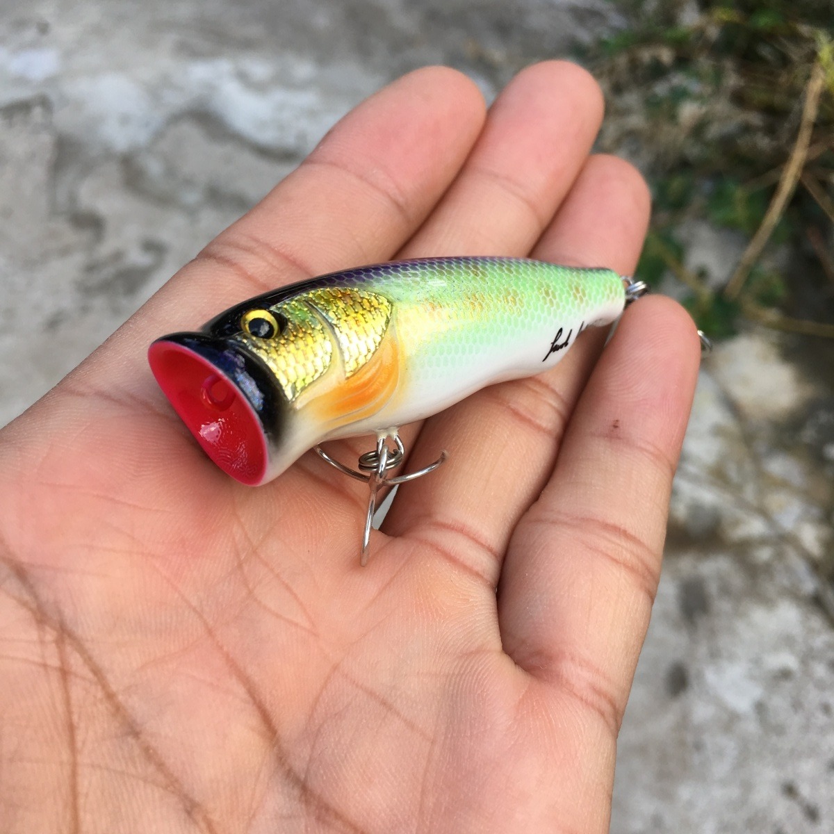 Popper lures 