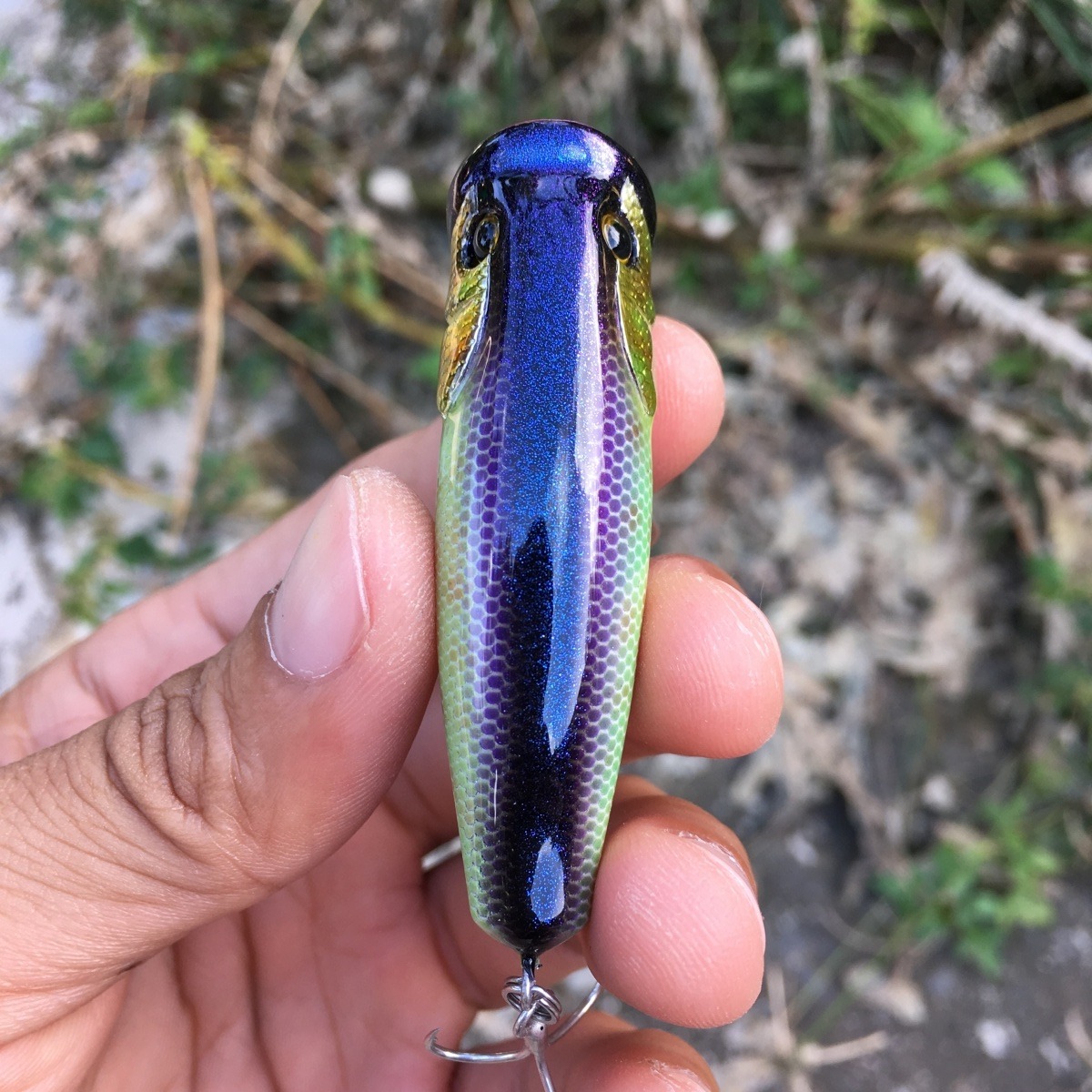 Popper lures 