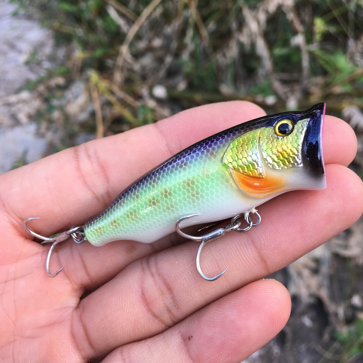 Popper lures 