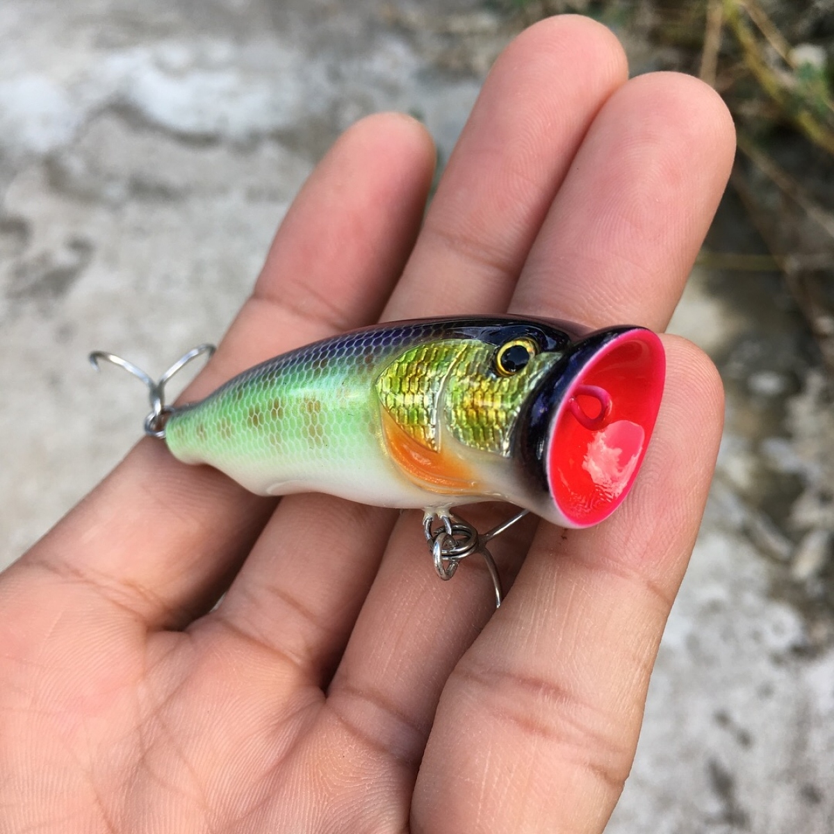 Popper lures 