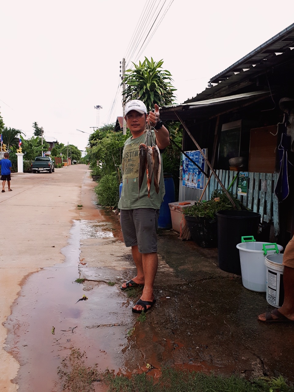 กระสูบหน้าบ้าน