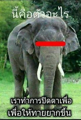 หาหมาย หาเพื่อนตกปลาที่ระยองครับ