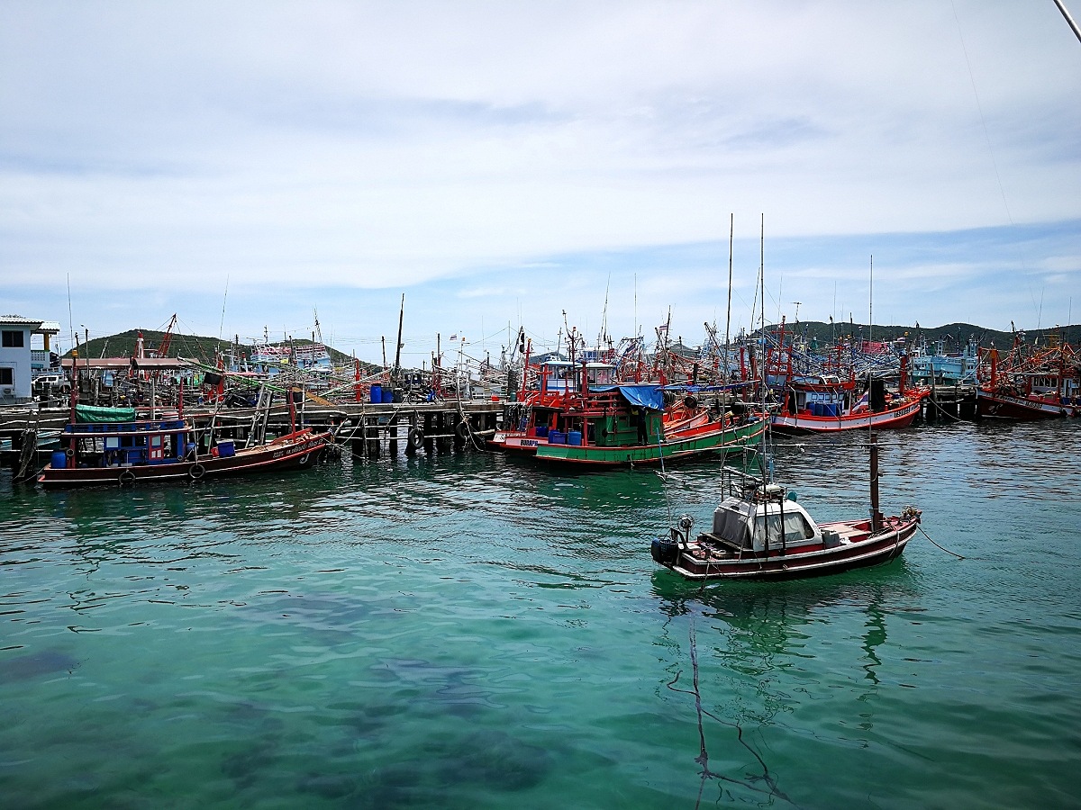 จ้องทุ่น Iso Fishing กับสลิดหินที่ช่องแสมสาร