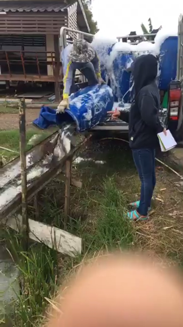 ปลาใหม่ 1000 โล บ่อตกปลากระพงและสนามกีฬาชนไก่ลาดหลุมแก้ว 