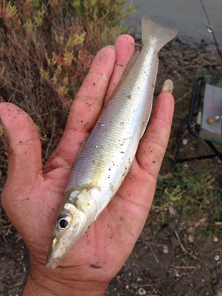 ขอมือเหม็นกับเขามั้ง