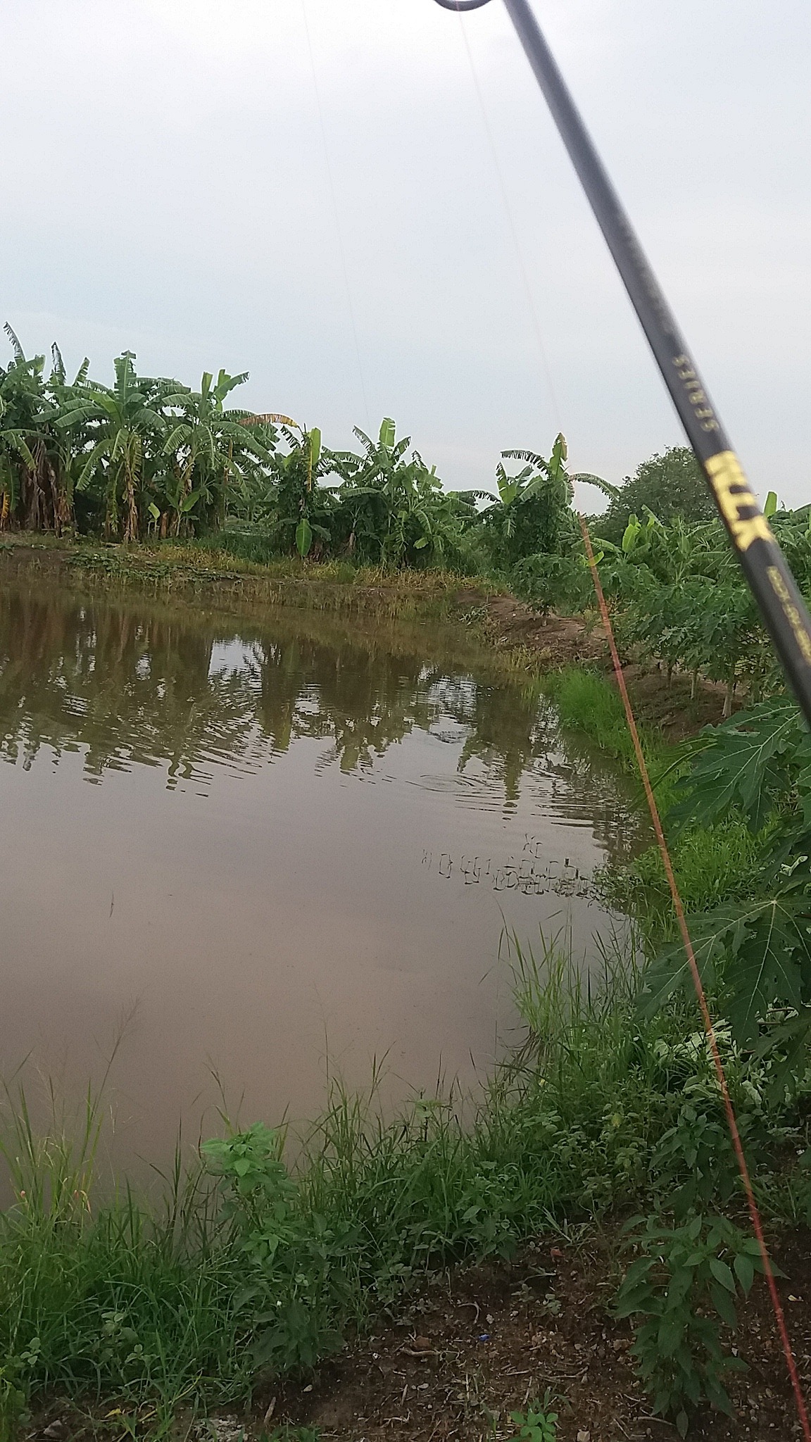 ติดตามกันที่หน้ากระดานนะครับ/SnakeHead Angler Club