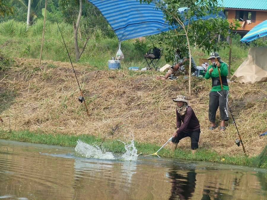 บ่อตกหน้าดิน ลงปลาเพิ่ม 1500 กิโล บ่อกฤษดาคลองหัวกรด ปราจีนบุรี