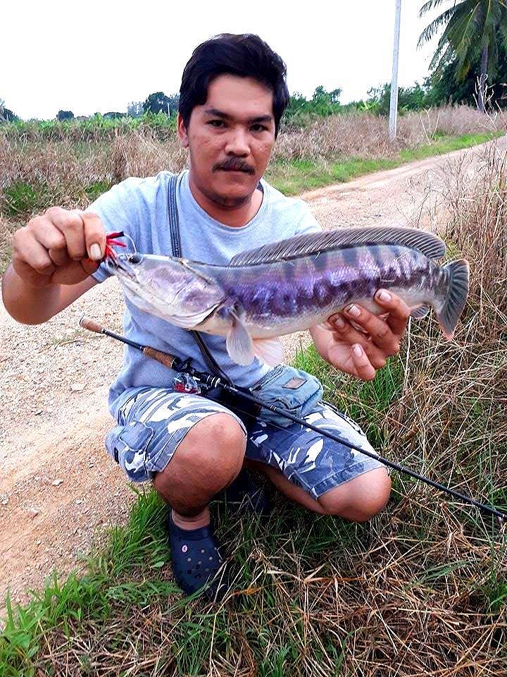 @@@@ มันนานมากแล้วที่ไม่ได้เจอกัน @@@@