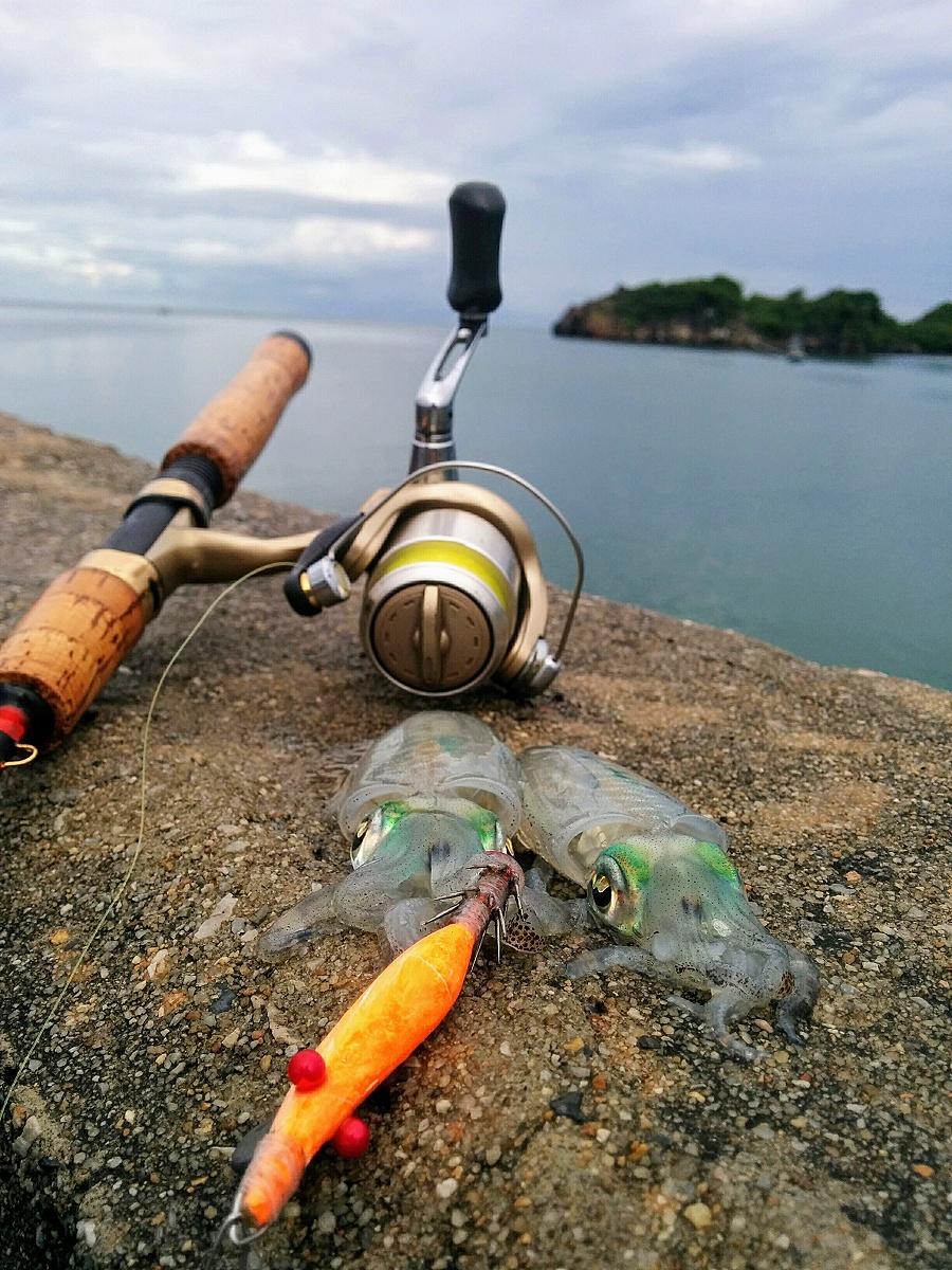 ทริปเล็กๆริมหาดบางสะพาน