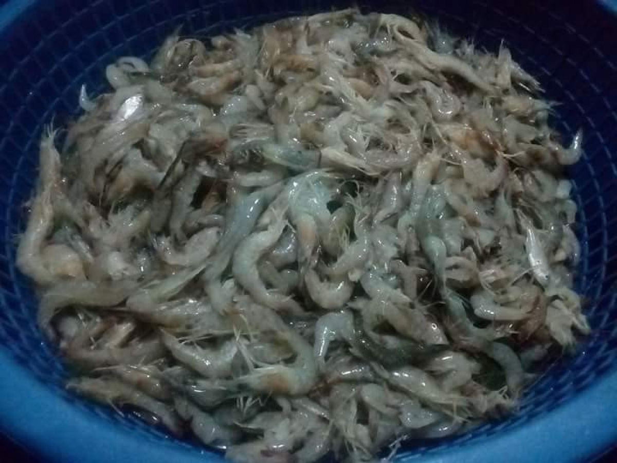 กุ้งหวานกรอบ