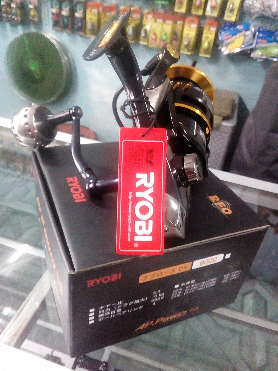 ขอความเห็น RYOBI AP POWER 4000 DS ว่าเป็นไงบ้าง ท่านใดเคยใช้แล้วบ้างครับ