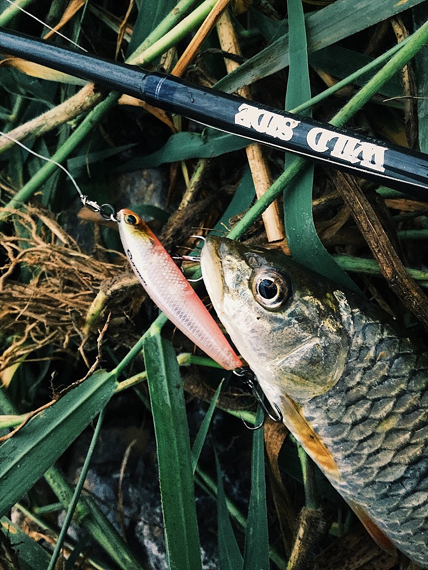 streamfishing