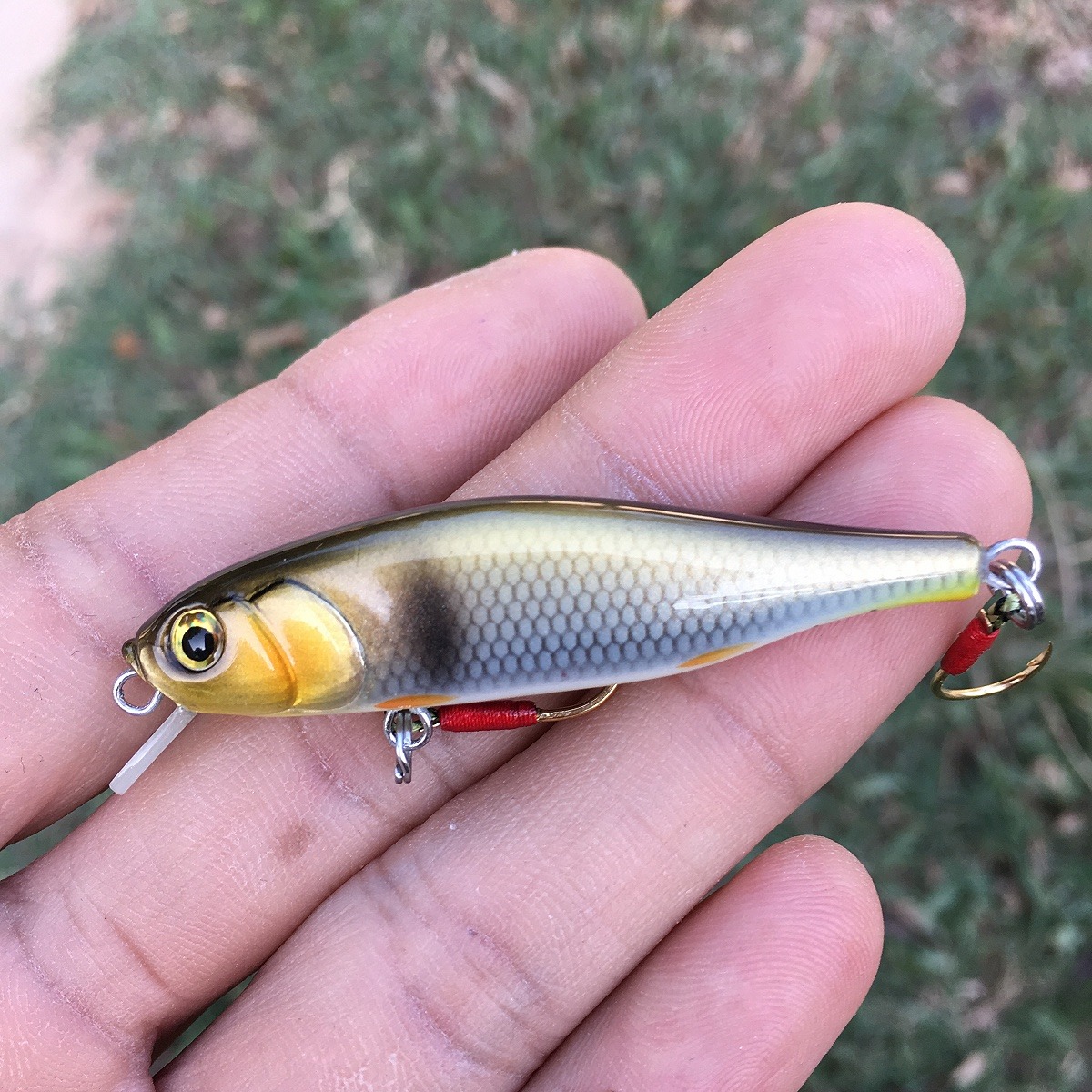 Minnow 55s ลายกระสูบ