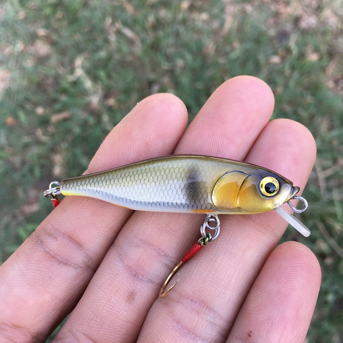 Minnow 55s ลายกระสูบ