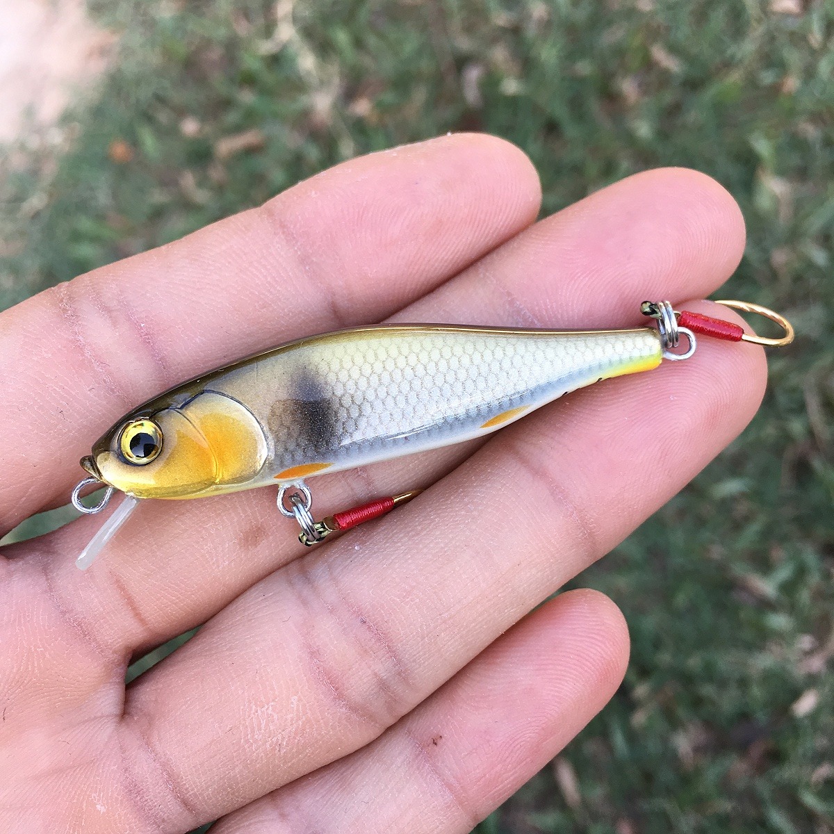 Minnow 55s ลายกระสูบ