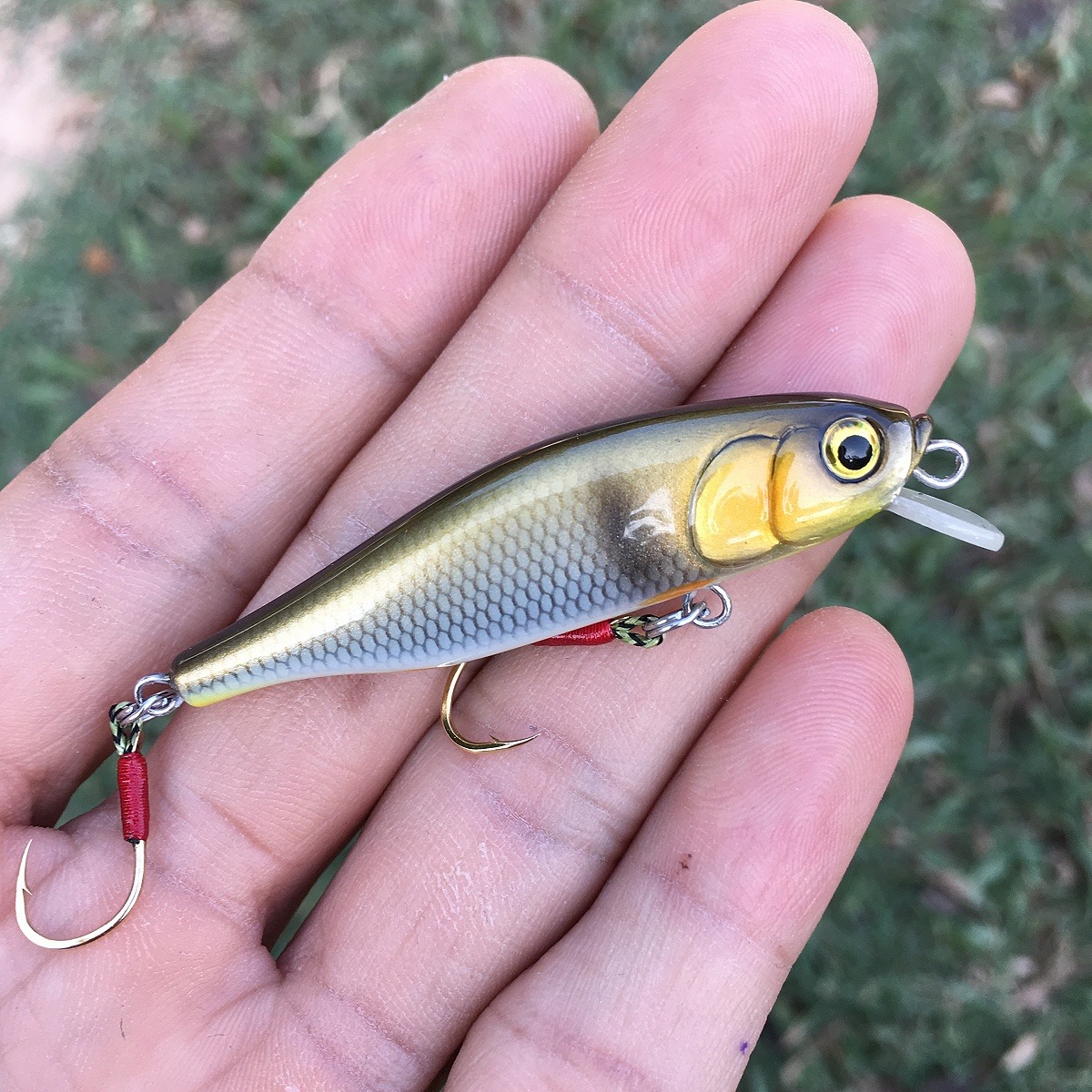 Minnow 55s ลายกระสูบ