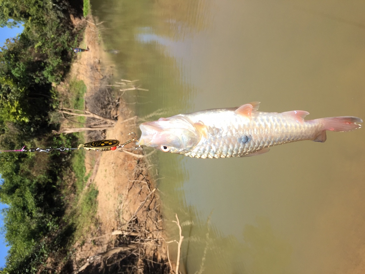 ทริปลองสาย PE TangMay 