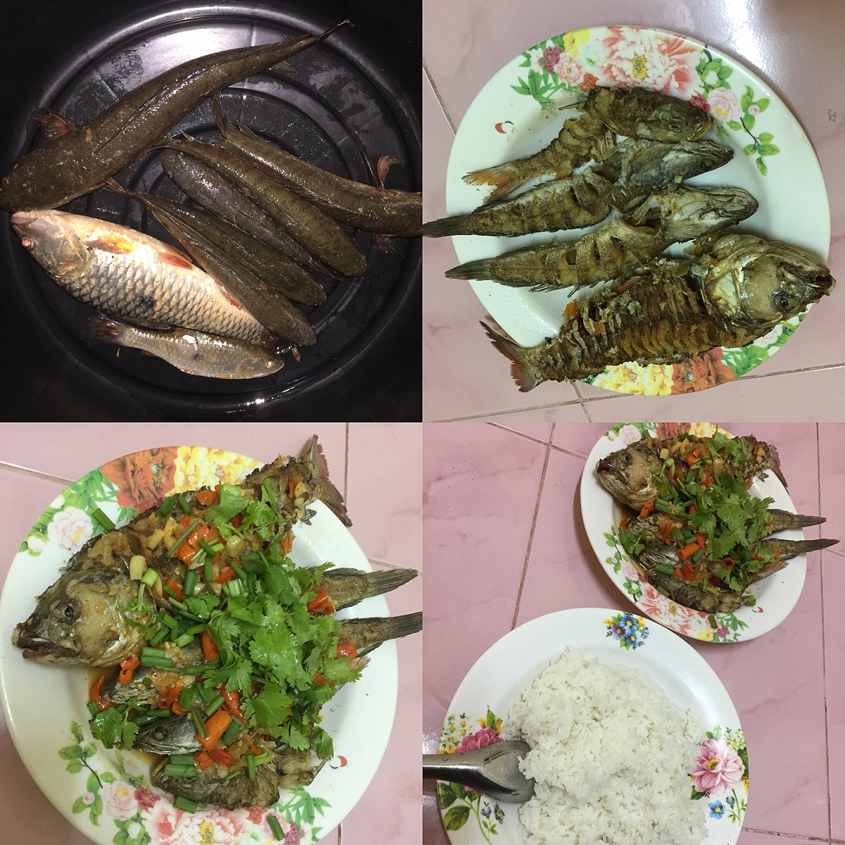 ทริปลองสาย PE TangMay 